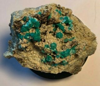 Good Example Of Aurichalcite On Smithsonite From The Kelly Mine,  Mexico