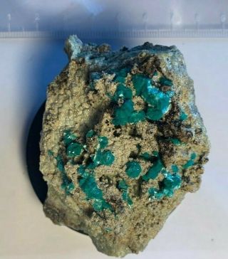 Good example of Aurichalcite on Smithsonite from the Kelly Mine,  Mexico 2