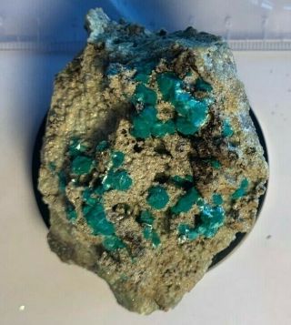 Good example of Aurichalcite on Smithsonite from the Kelly Mine,  Mexico 4