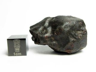 Nwa X Meteorite 26.  62g Superbly Shaped Stony Space Rock