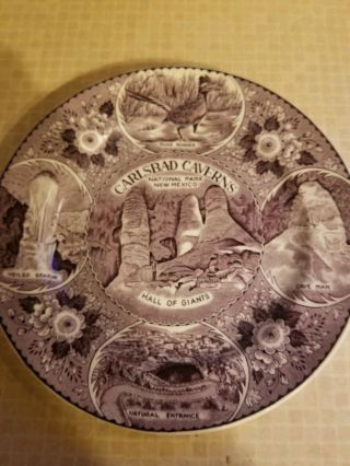 Vintage Souvenir Plate Of Carlsbad Caverns National Park Mexico