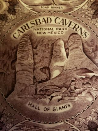 Vintage Souvenir Plate Of Carlsbad Caverns National Park Mexico 2