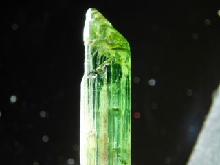 A 100 Natural Green Tourmaline Crystal On A Stand From Brazil 4.  89 E