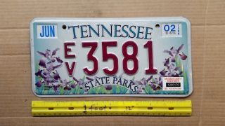 License Plate,  Tennessee,  State Parks,  2002,  Great Graphix Ev 3581
