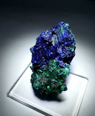 SPARKLING - Blue Azurite crystals w/ Green Malachite matrix,  mine China 3