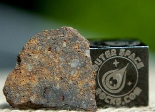 Barnstable H4 Chondrite Meteorite 0.  7g Frag From Massachusetts Found On 4/6/2019