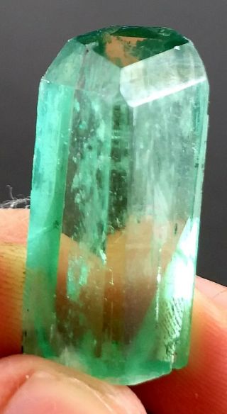 49 Carat Lush Green Hiddenite Green Kunzite Crystal From Afghanistan