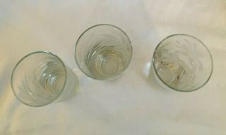 3 Vintage Frank Oda Etched Drinking Glasses Juice Tumblers Hawaiian Flowers 4