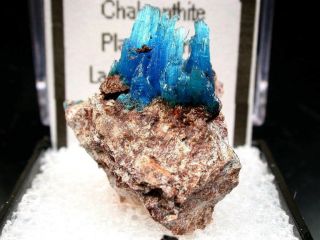 Minerals : Bright Blue And Fibrous Chalcanthite On Matrix From Arizona,  Usa