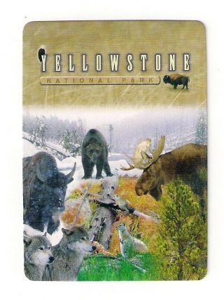Deck Souvenir Playing Cards From Yellowstone National Park,  Buffalo,  Bear,  Moose