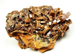 Minerals : Vanadinite Crystals On Matrix From Morocco