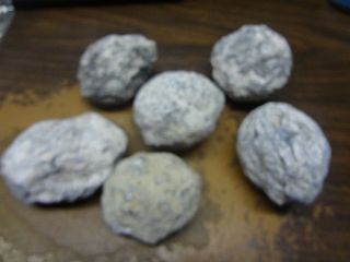 2,  Lb.  Bag Of Break Your Own Trancus Geodes Geode 2 - 2.  5 Inches