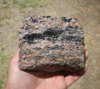 2 Lb.  3 Oz.  Morton Gneiss,  Oldest Rock In The Usa,  3.  5 Billion Years