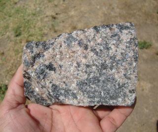 1 Lb.  9 Oz.  Morton Gneiss,  Oldest Rock In The Usa,  3.  5 Billion Years