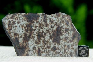Nwa 7650 L6 Chondrite Meteorite 38.  1 Gram Part Slice With Metal