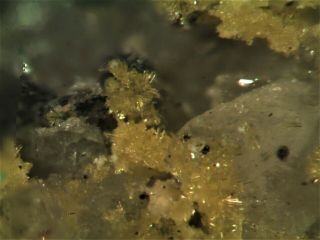 Uranophane Beta Rare Mineral Micromount From Italy