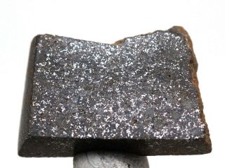 Stony Iron H Chondrite Meteorite Polished Part Slice Space Rock Specimen Morocco