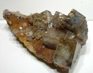 Fluorite: Vrchoslav Deposit,  Krupka,  Usti Nad Labem Reg. ,  Czech Republic - Nr