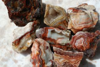 Gpr: Mexican Crazy Lace Agate Roughs 1.  14 Lbs/517 Grams 1r1