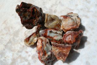GPR: Mexican Crazy Lace Agate Roughs 1.  14 lbs/517 grams 1r1 2
