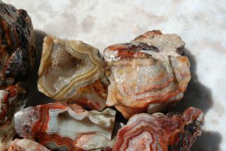 GPR: Mexican Crazy Lace Agate Roughs 1.  14 lbs/517 grams 1r1 4