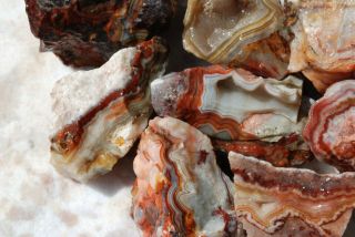 GPR: Mexican Crazy Lace Agate Roughs 1.  14 lbs/517 grams 1r1 5