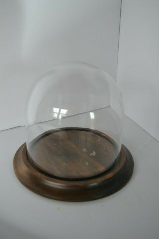 Vintage Wood Glass Display Dome