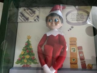 Elf On The Shelf Doll & Book Set Mib - " Boy " Edition