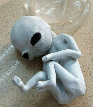 Roswell Alien Fetus Embryo Specimen In Jar Area 51 Ufo Polymer Clay Horror Prop