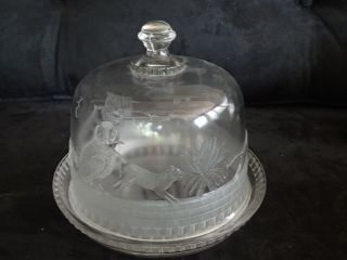 Vtg Clear Glass Cake Dome Raised Cats Owls Night Cover Saver Keeper Unique