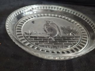 Vtg Clear Glass Cake Dome Raised Cats Owls Night Cover Saver Keeper UNIQUE 4