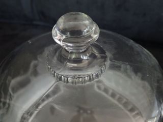 Vtg Clear Glass Cake Dome Raised Cats Owls Night Cover Saver Keeper UNIQUE 5