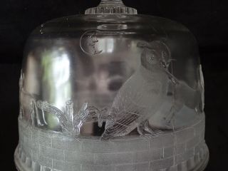 Vtg Clear Glass Cake Dome Raised Cats Owls Night Cover Saver Keeper UNIQUE 7
