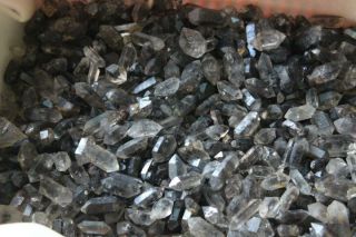 30 - 50pc Natural Tibetan Black Phantom Crystal Quartz Double Terminating Specimen