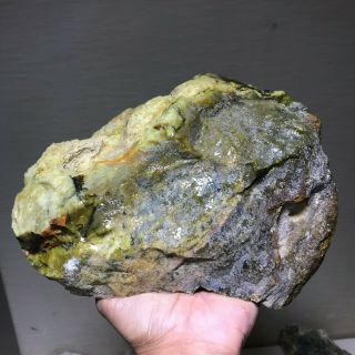 Solid Green Dendretic Agatized Opal Rough - 9.  5 Lbs From - Africa