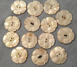Vintage / Antique Set Of 14 Mother Of Pearl Buttons