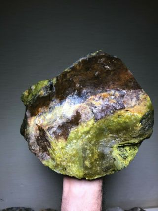Solid Green Dendretic Agatized Opal Rough - 23 Lbs From - Africa