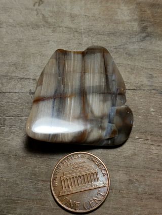 Wyoming Petrified Wood Polished Specimen 12 Grams