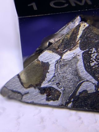 Meteorite Esquel,  Pallasite Pmg 0.  40 Grams Slice Rare