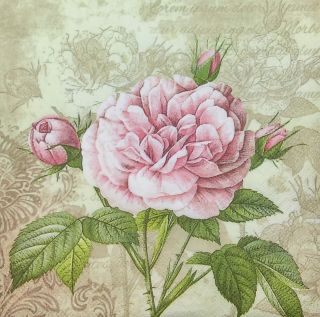 3x Single Paper Napkins Decoupage Craft Tissue English Garden Rose Flower M126