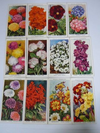 Cigarette - Trade - Cards.  Wills Tobacco.  Garden Flowers 1933.  (full Set Of 50)