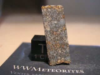 Meteorite Nwa 11590 - Ll3 That Contains Cm - Sized " Cluster Chondrite " Clasts