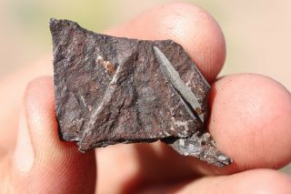 Canyon Diablo Meteorite End Cut 8.  5 Grams