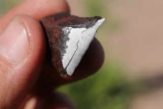 Canyon Diablo Meteorite end cut 8.  5 grams 2