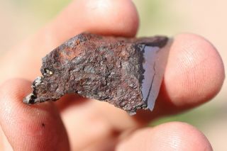 Canyon Diablo Meteorite end cut 8.  5 grams 3