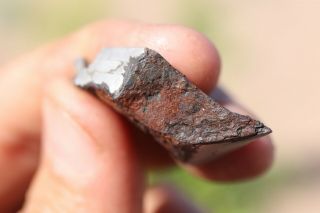 Canyon Diablo Meteorite end cut 8.  5 grams 4