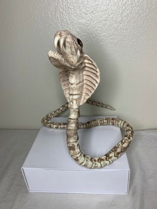Snake Skeleton Halloween Prop Posable Decoration Jungle Scary Realistic Cobra
