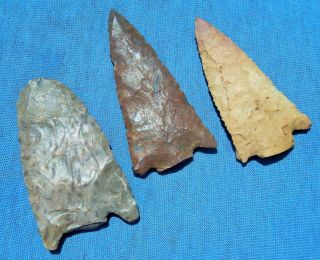 Fine Group Of Kentucky Early Archaic Snapped Base Points