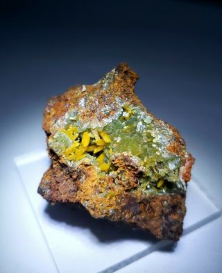 Gorgeous - Yellow Wulfenite Crystals & Green Mimetite,  Ojuela Mine Mexico