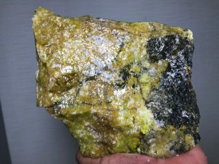 Solid Green Dendretic Agatized Opal Rough - 3.  5 Lbs From - Africa